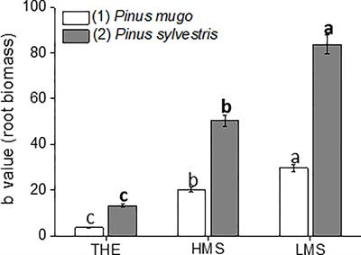 Bioactivity of Size-Fractionated and Unfractionated Humic Substances From Two Forest Soils and Comparative Effects on N and S Metabolism, Nutrition, and Root Anatomy of Allium sativum L